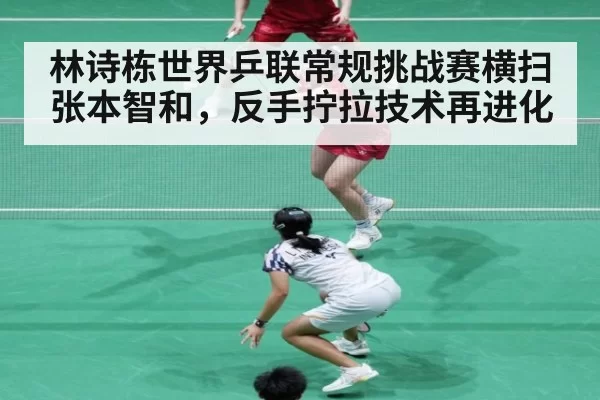 林诗栋世界乒联常规挑战赛横扫张本智和,反手拧拉技术再进化